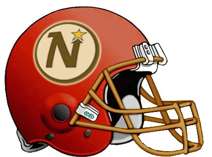 Budapest North Stars helmet